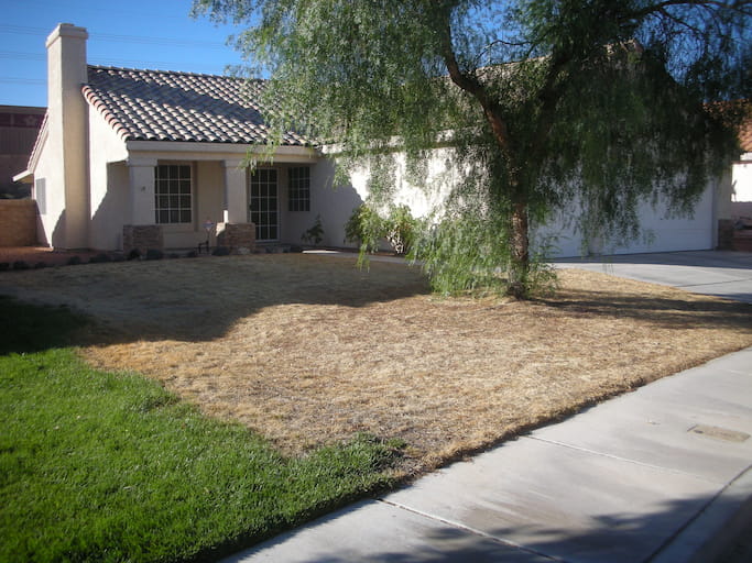 Grass Removal Las Vegas